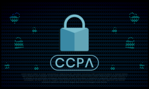 Consumer Privacy: Are Your Clients CCPA Compliant?